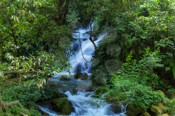 creek in forest