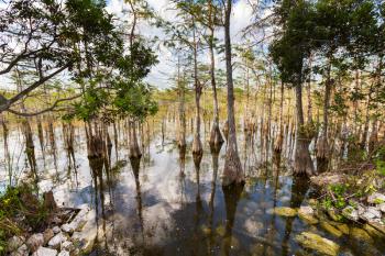 Landscapes in Everglades National Park