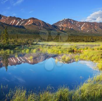 river in tundra on Alaska