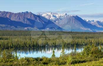 Serenity lake in tundra on Alaska