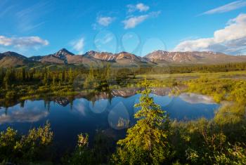 Serenity lake in tundra on Alaska