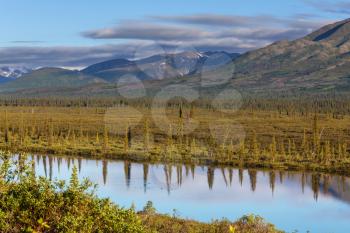 Serenity lake in tundra on Alaska