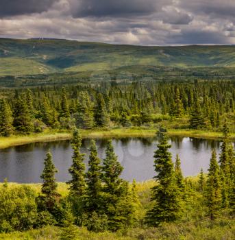 Serenity lake in tundra on Alaska