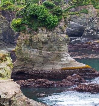 Olympic National Park landscapes