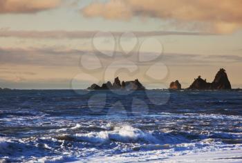 Olympic National Park landscapes