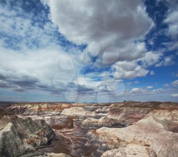 Petrified Forest National Park, Arizona.