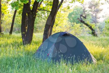 tent on green grassland