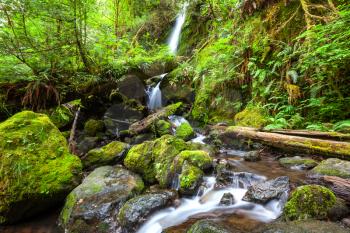 Waterfall in green forest