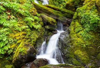 Waterfall in green forest