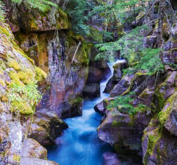 Waterfall in green forest