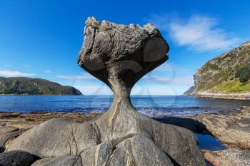 Stone tail in Norway