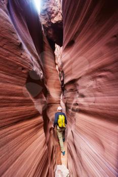 Slot canyon in Grand Staircase Escalante National park, Utah, USA. Unusual colorful sandstone formations in deserts of Utah are popular destination for hikers.