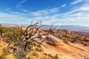 Sandstone formations in Utah, USA