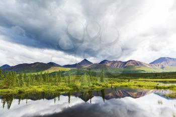 Serenity lake in tundra in Alaska