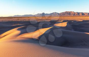 Sand dunes in the Sahara desert