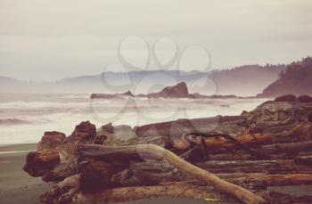Scenic and rigorous Pacific coast in the Olympic National Park, Washington, USA. Rocks in the ocean and large logs on the beach.
