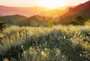 Scenic mountains at dawn time