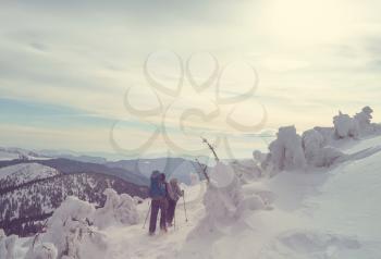 Hikers in the winter mountains