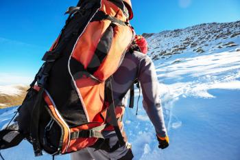 Hikers in the winter mountains