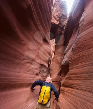 Slot canyon in Grand Staircase Escalante National park, Utah, USA. Unusual colorful sandstone formations in deserts of Utah are popular destination for hikers.