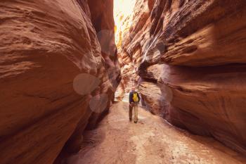 Slot canyon in Grand Staircase Escalante National park, Utah, USA. Unusual colorful sandstone formations in deserts of Utah are popular destination for hikers.