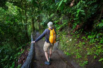 Hiking in green tropical jungle, Costa Rica, Central America