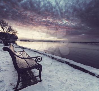 bench in winter