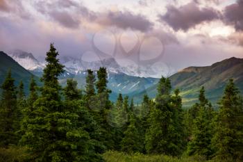 Picturesque Mountains of Alaska in summer. Snow covered massifs, glaciers and rocky peaks.