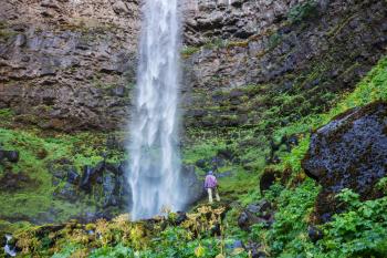 Beautiful waterfall in green forest, Oregon, USA.