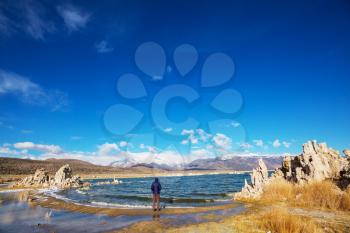 Mono lake formations