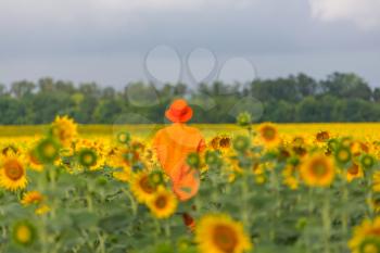 Man in orange clother in sunner sunflowers field