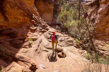 Hike in the Utah mountains. Hiking in unusual natural landscapes. Fantastic forms sandstone formations.