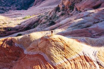 Sandstone formations in Utah, USA. Yant flats