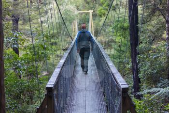 Hiking and tramping in New Zealand. Travel and adventure concept