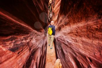 Slot canyon in Grand Staircase Escalante National park, Utah, USA. Unusual colorful sandstone formations in deserts of Utah are popular destination for hikers. Living coral toned.