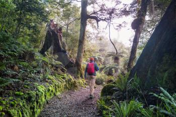 Hiking and tramping in New Zealand. Travel and adventure concept