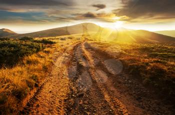 Beautiful natural landscapes in Carpathian mountains