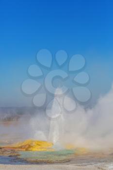Eruption geyser in Yellowstone National Park, USA