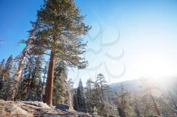 Beautiful Yosemite National Park landscapes, California