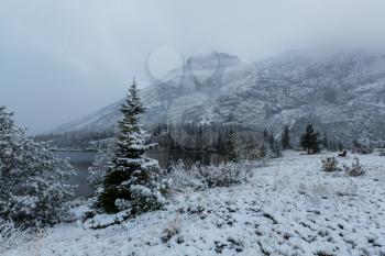 Early winter with first snow covering rocks and woods in the Glacier National Park, Montana, USA