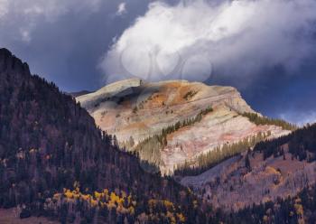 Colorful yellow autumn in Colorado, United States. Fall season.