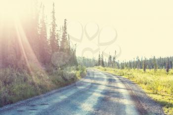 Gravel road in the forest of Alaskan mountains, summer season.