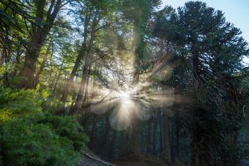 Sunny beams at sunset