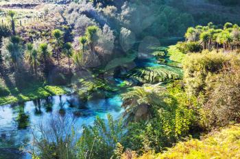 Unusual blue spring in New Zealand. Beautiful natural landscapes