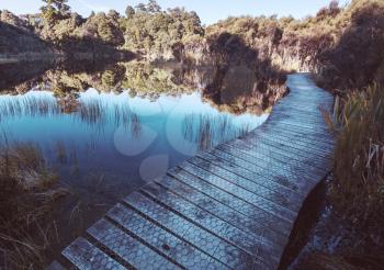Boardwalk on the lake in tropical forest, New Zealand