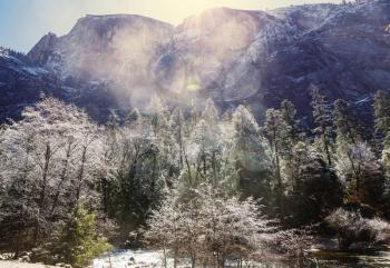 Winter season in Yosemite National Park, California, USA