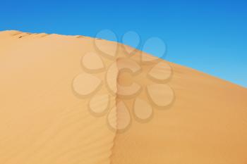 Beautiful sand dunes in desert at sunrise.
