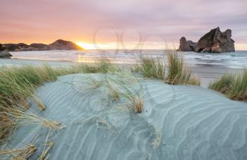 Sand dune at Pacific ocean beach, New Zealand