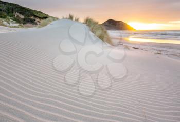 Sand dune at Pacific ocean beach, New Zealand