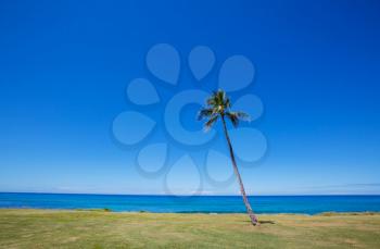 Amazing hawaiian beach